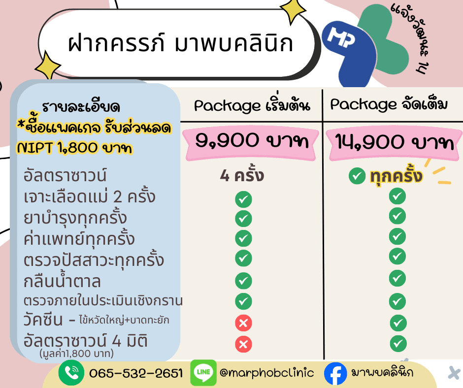 ANC Package เริ่มต้น