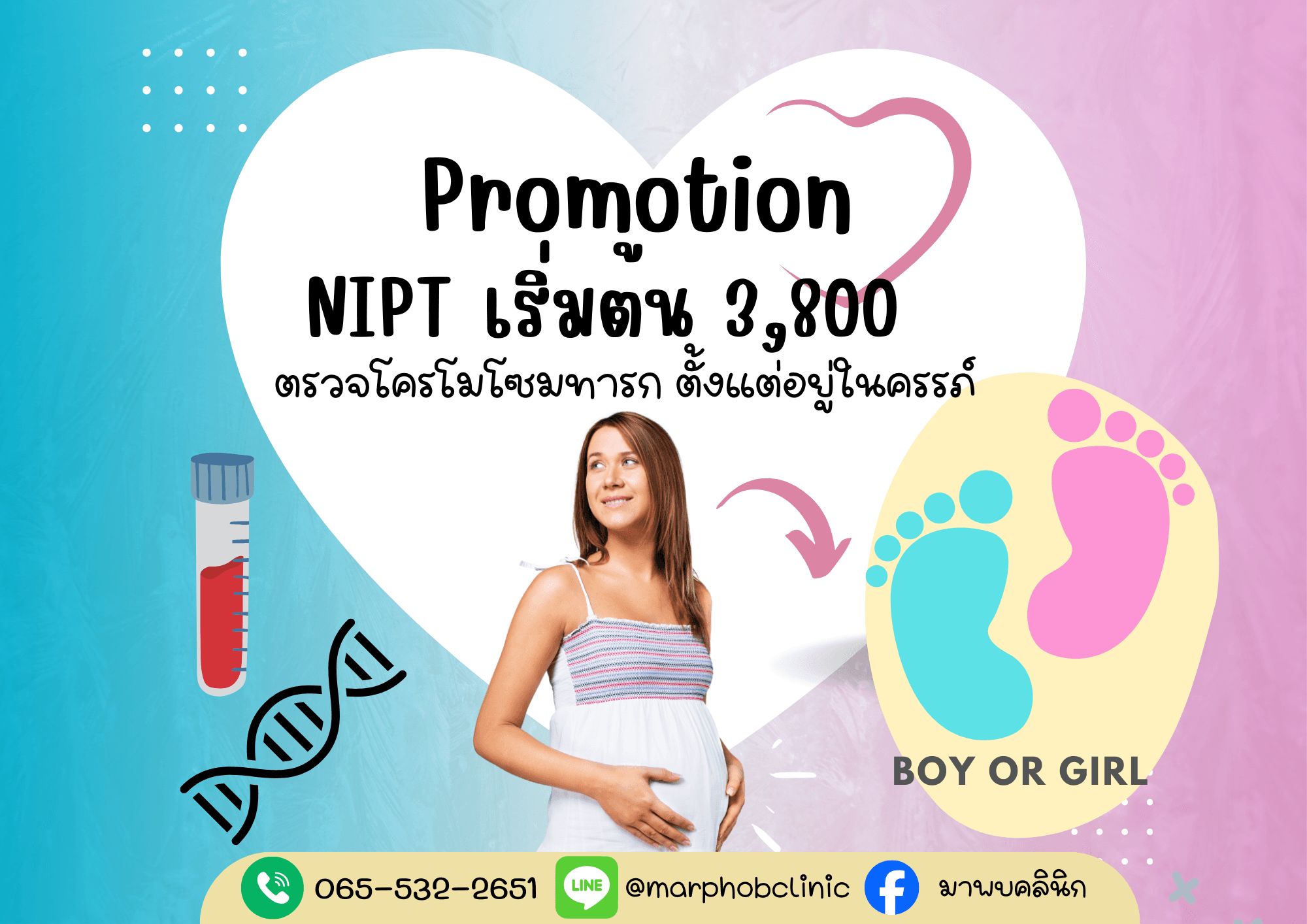 NIPT Economy